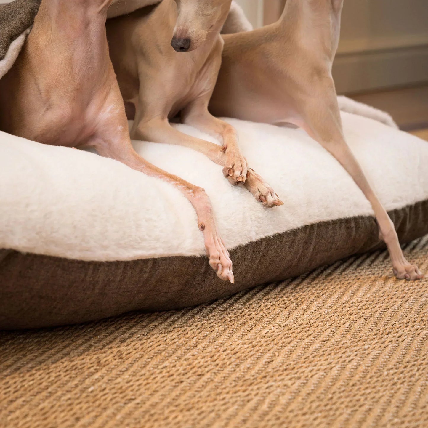 Detail view of Lords & Labradors Sleepy Burrows dog bed in Inchmurrin fabric showing Italian greyhound legs resting on the cushioned surface.