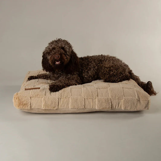 Comfiest dog bed shown in a calm home setting with full body support