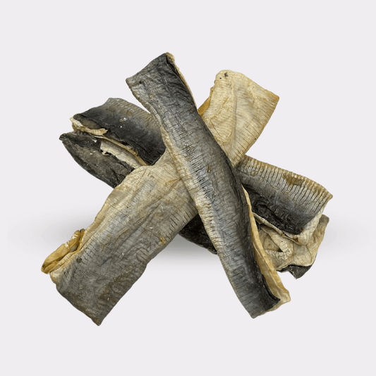A stack of 5 fish skin flats natural dog treats on an all white background.