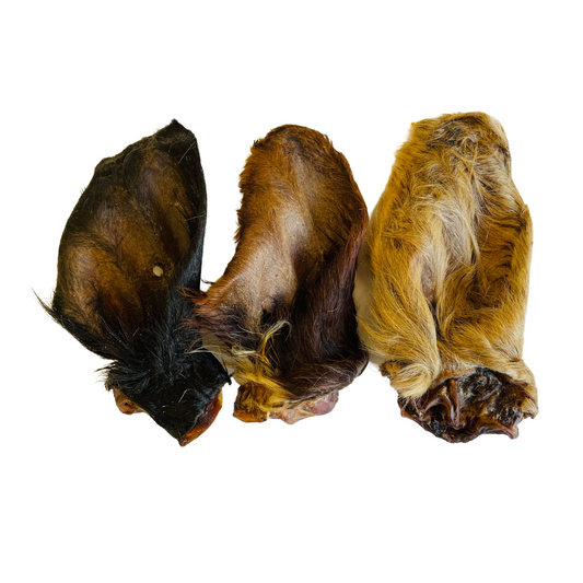 Three hairy cow ears natural dog treats side by side on an all white background.