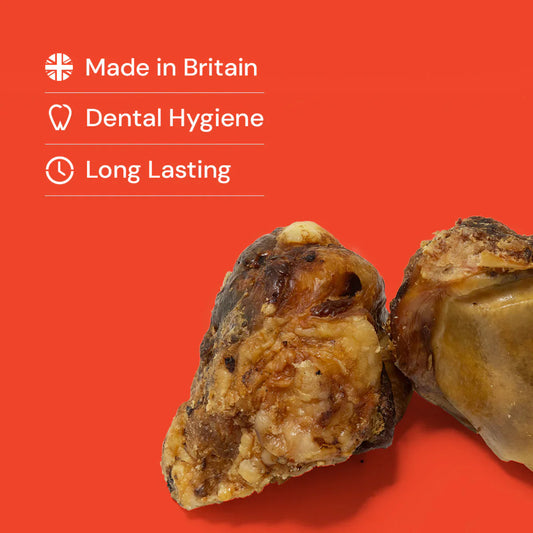 Beef Knees - Natural Dog Treats