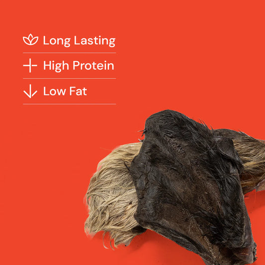 Hairy Cow Ears - Natural Dog Treats