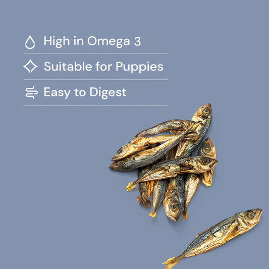 Dried Sprats - Natural Dog Treats