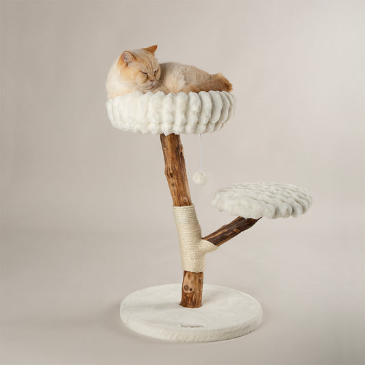 Cat resting on a wooden cat tree with white cushioned platforms against a beige background
