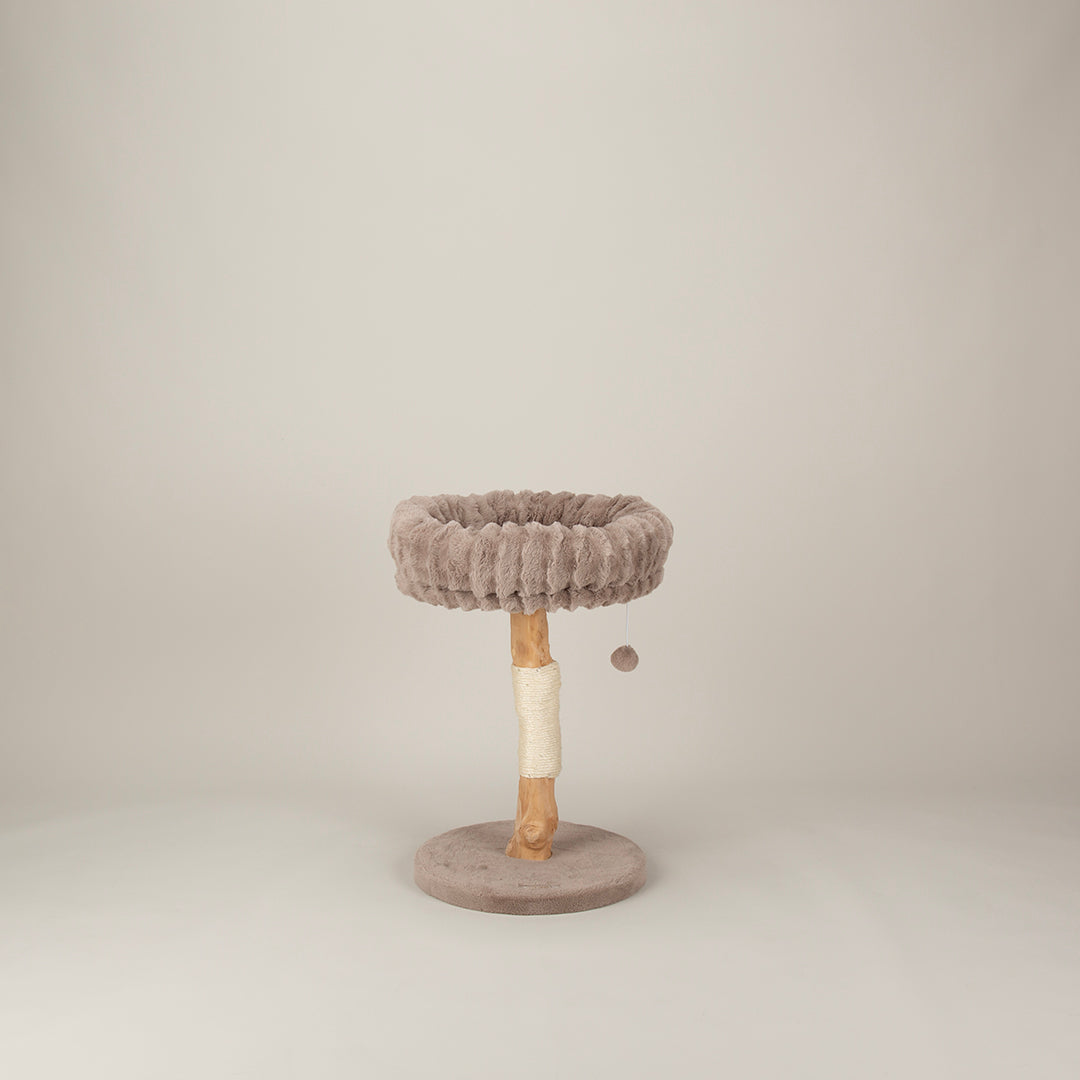 Cat tree with a round platform and wooden post on a plain background