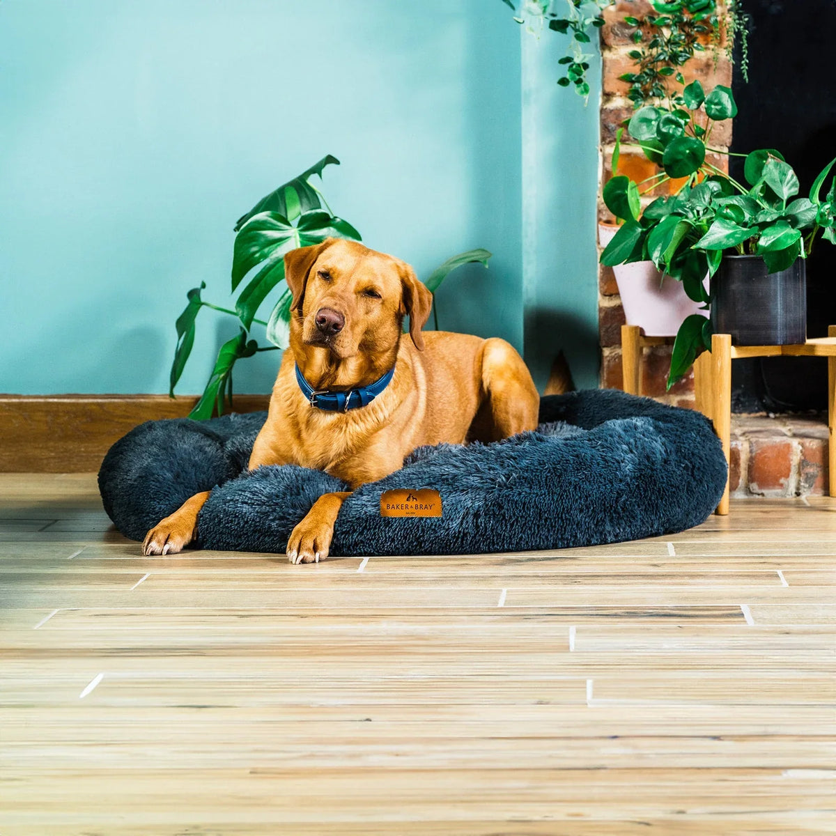 Dog resting on Baker & Bray calming donut dog bed dark grey in home setting