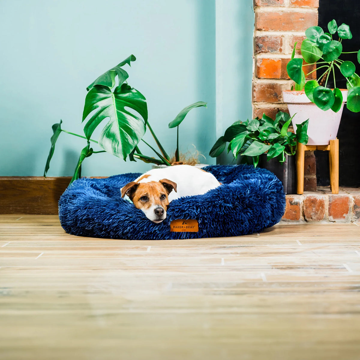 Dog lying on Baker & Bray calming donut dog bed navy in home