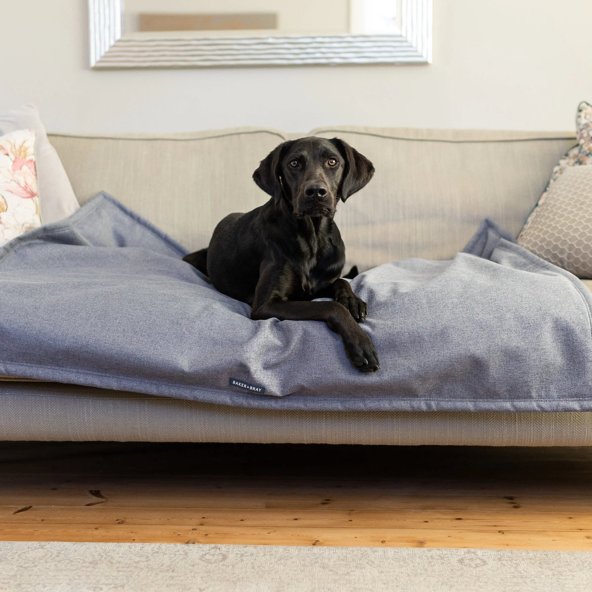 Dog sitting on a Baker & Bray temperature regulating dog blanket