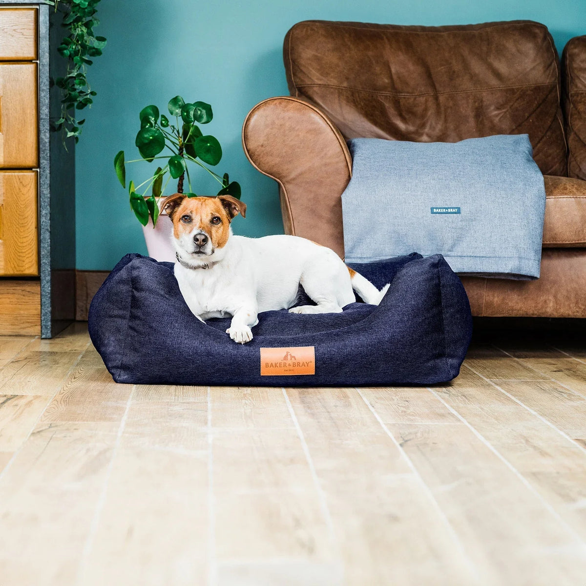 Dog lying on Baker & Bray ultimate orthopaedic dog bed navy blue in living room