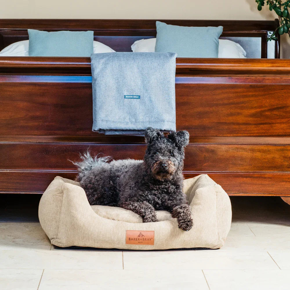 Dog lying on Baker & Bray ultimate orthopaedic dog bed oatmeal beige in living room