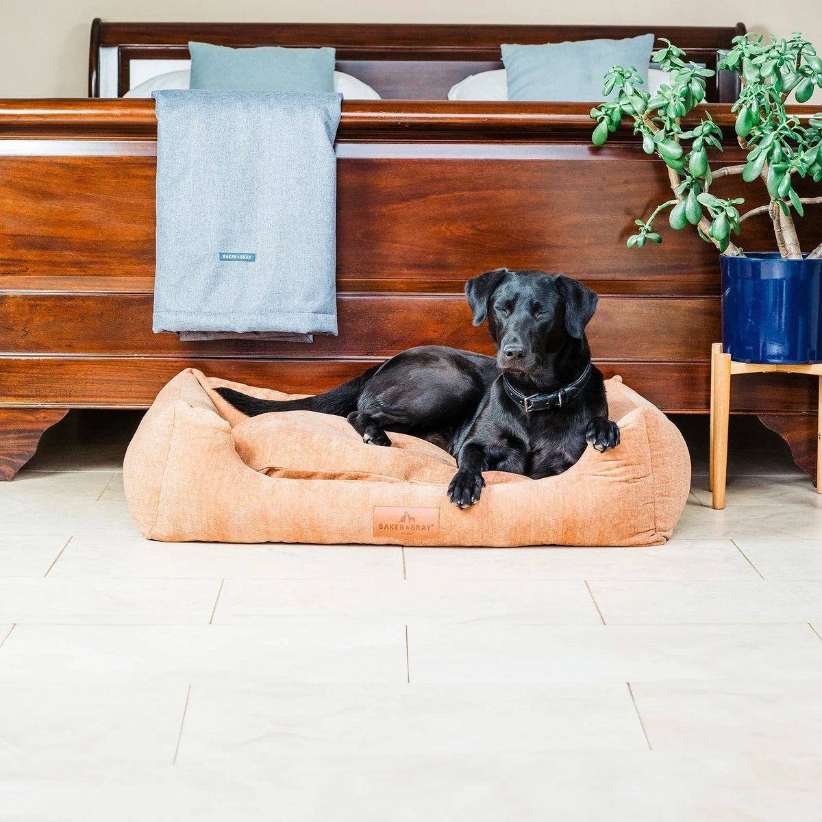Dog resting on Baker & Bray ultimate orthopaedic dog bed peach fuzz in bedroom