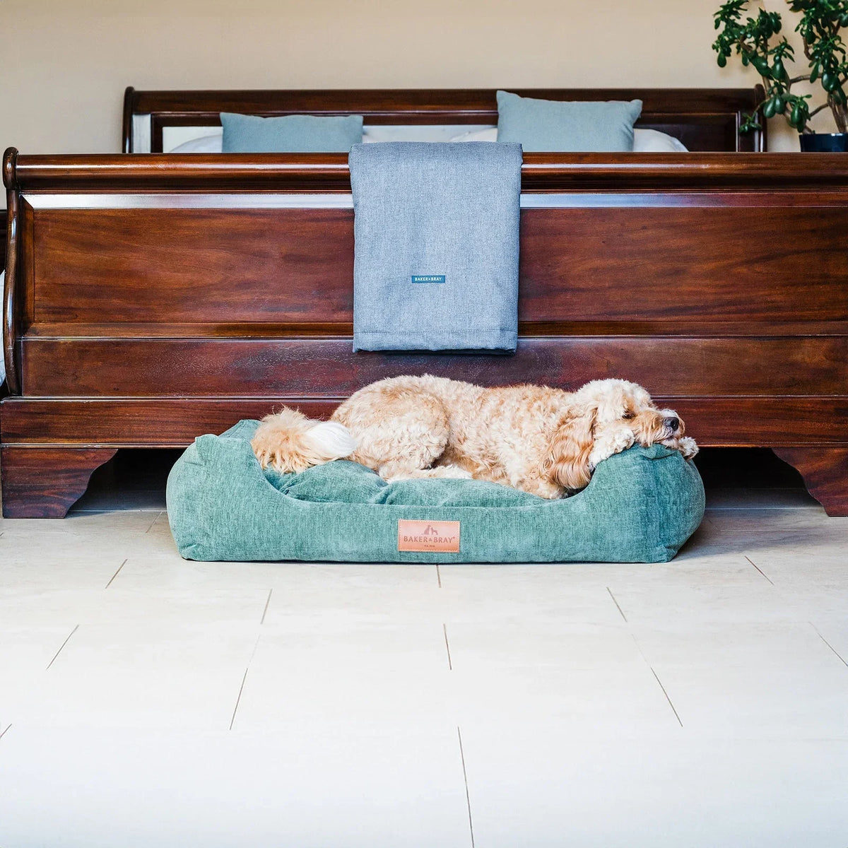 Dog resting on Baker & Bray ultimate orthopaedic dog bed sage green in bedroom