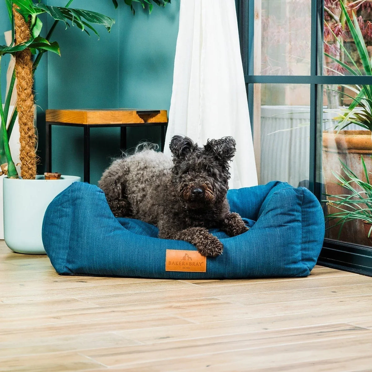 Dog lying on Baker & Bray ultimate orthopaedic dog bed teal blue in living room