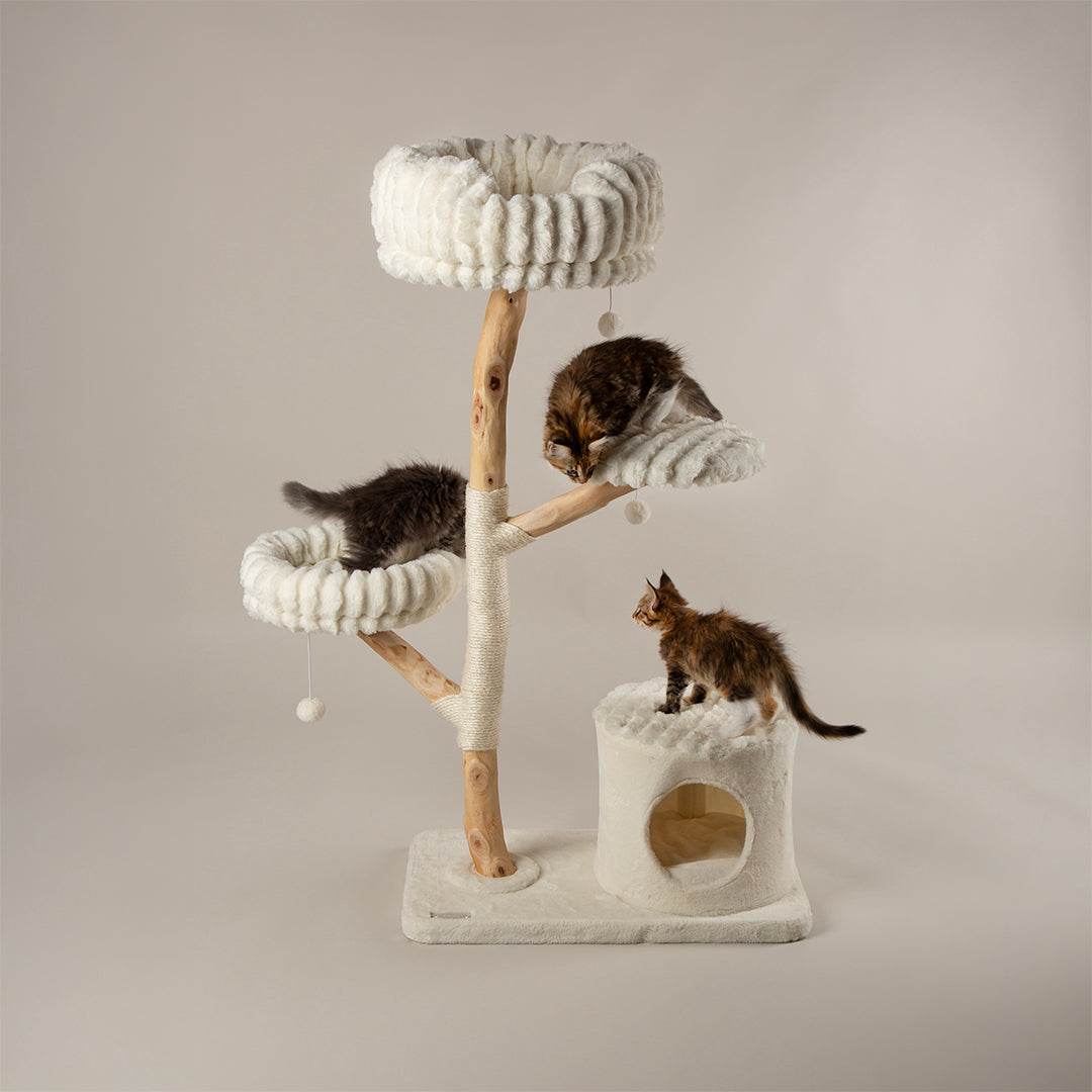 Cat tree tower with multiple levels and a cat climbing on it against a plain background