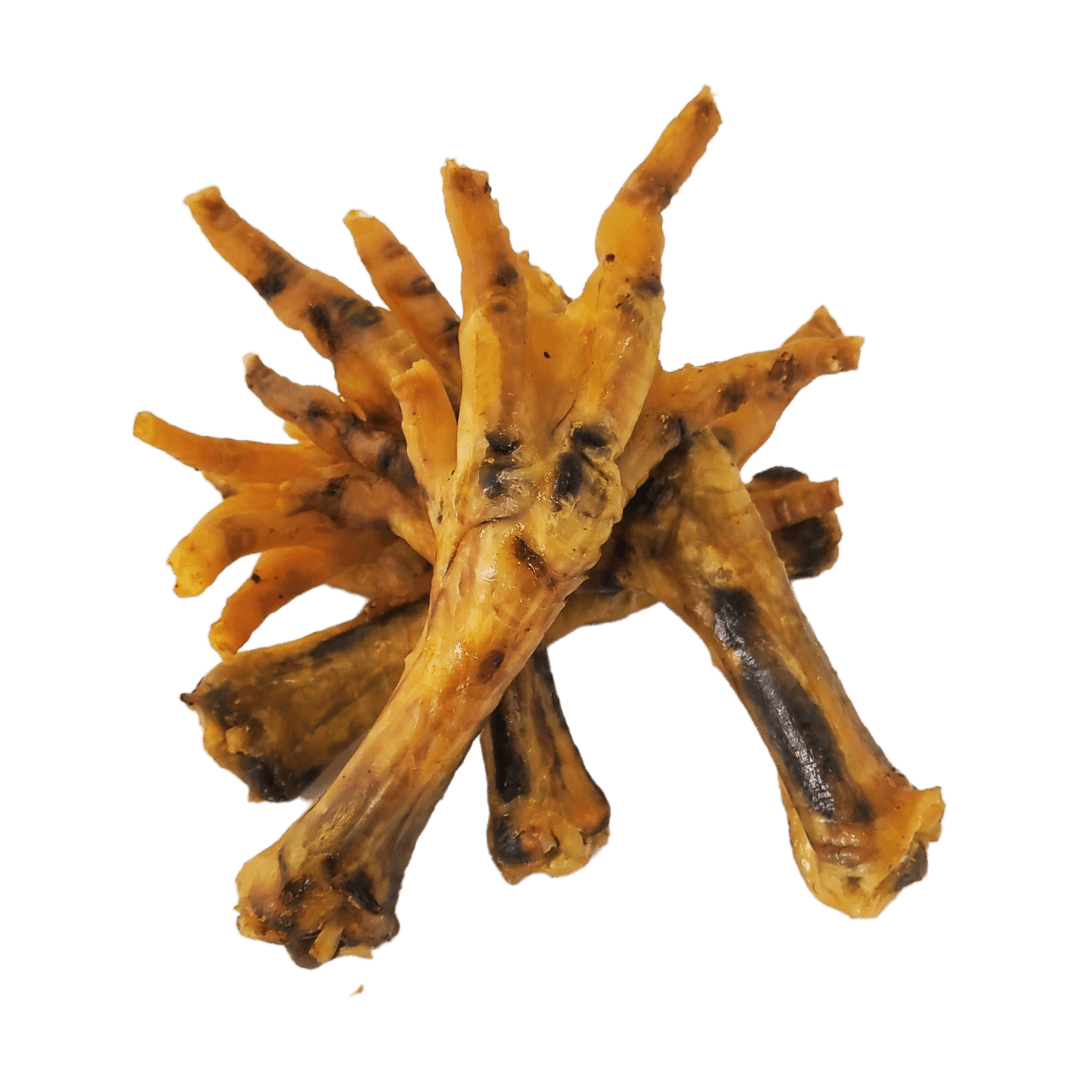 Four air-dried chicken feet natural dog treats interlocked together on an all white background.