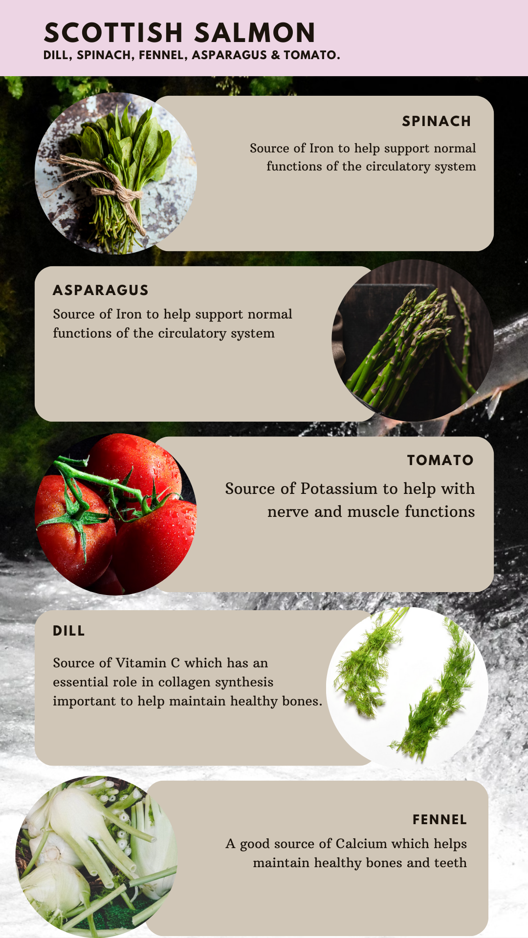 Key benefits of Country Barn Scottish Salmon Adult Dog Food