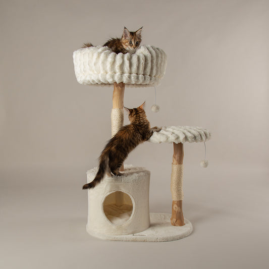 Two cats on a multi-level cat tree tower with beige background