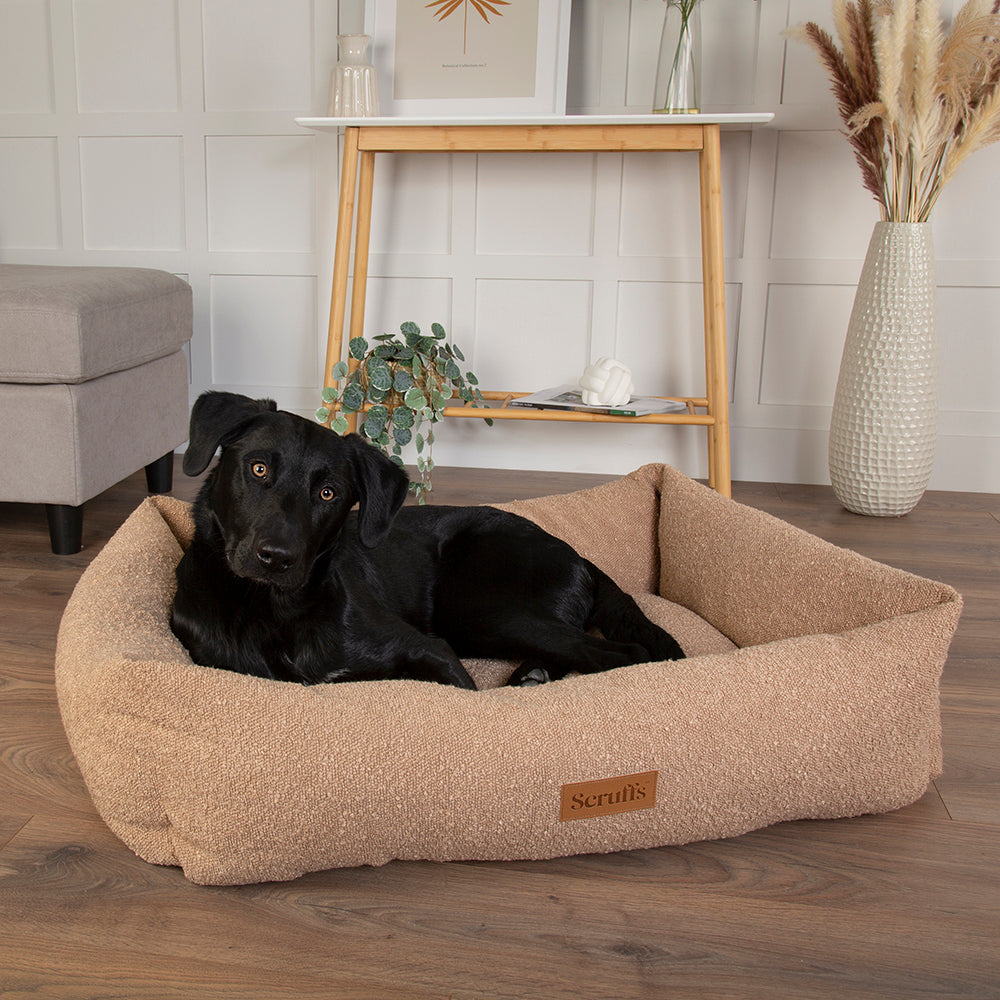 Black dog lying on a beige dog bed in a room with a wooden floor and white walls.