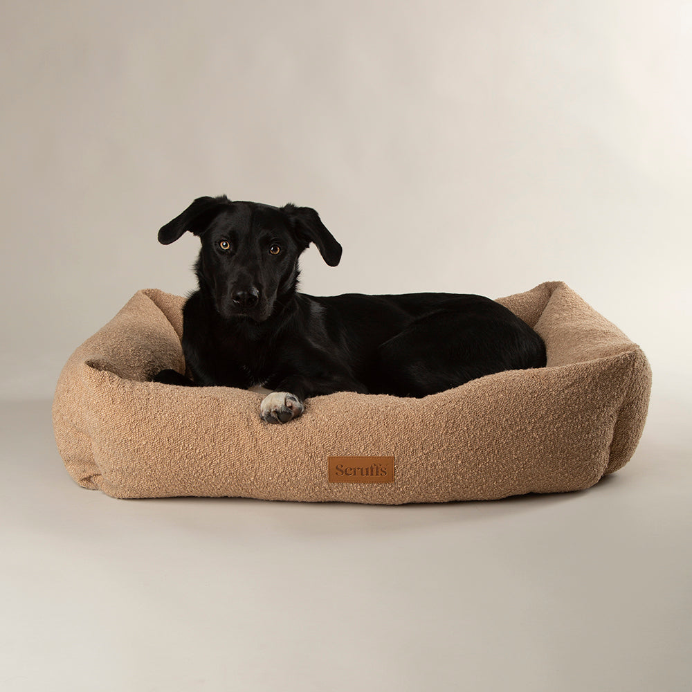 Dog lying on a beige dog bed with a neutral background