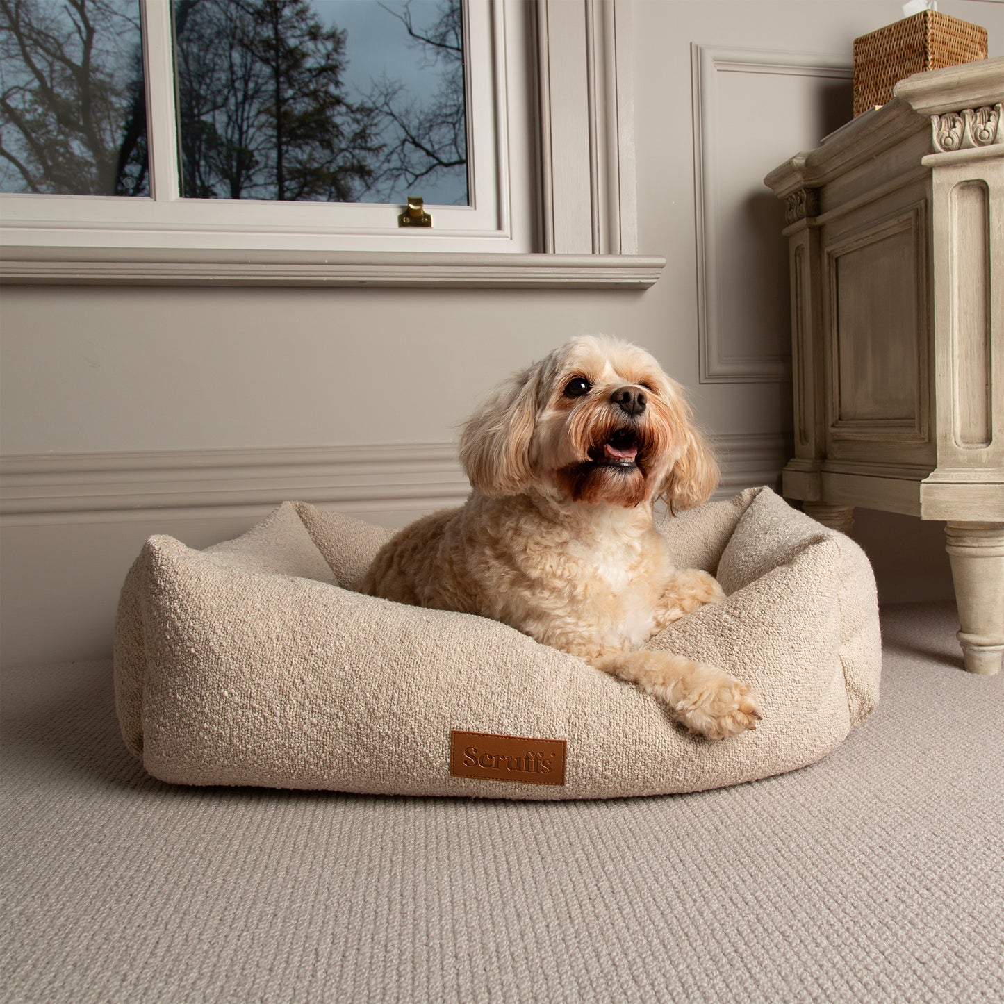 Dog sitting on a fluffy dog bed in a bedroom with a window