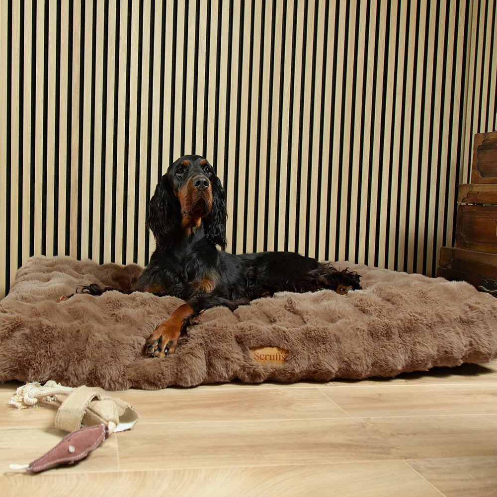 Dog lying on a fluffy brown dog mattress with a striped wall in the background