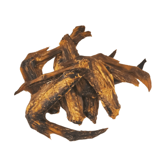 Air-dried duck wings natural dog treats on an all white background.
