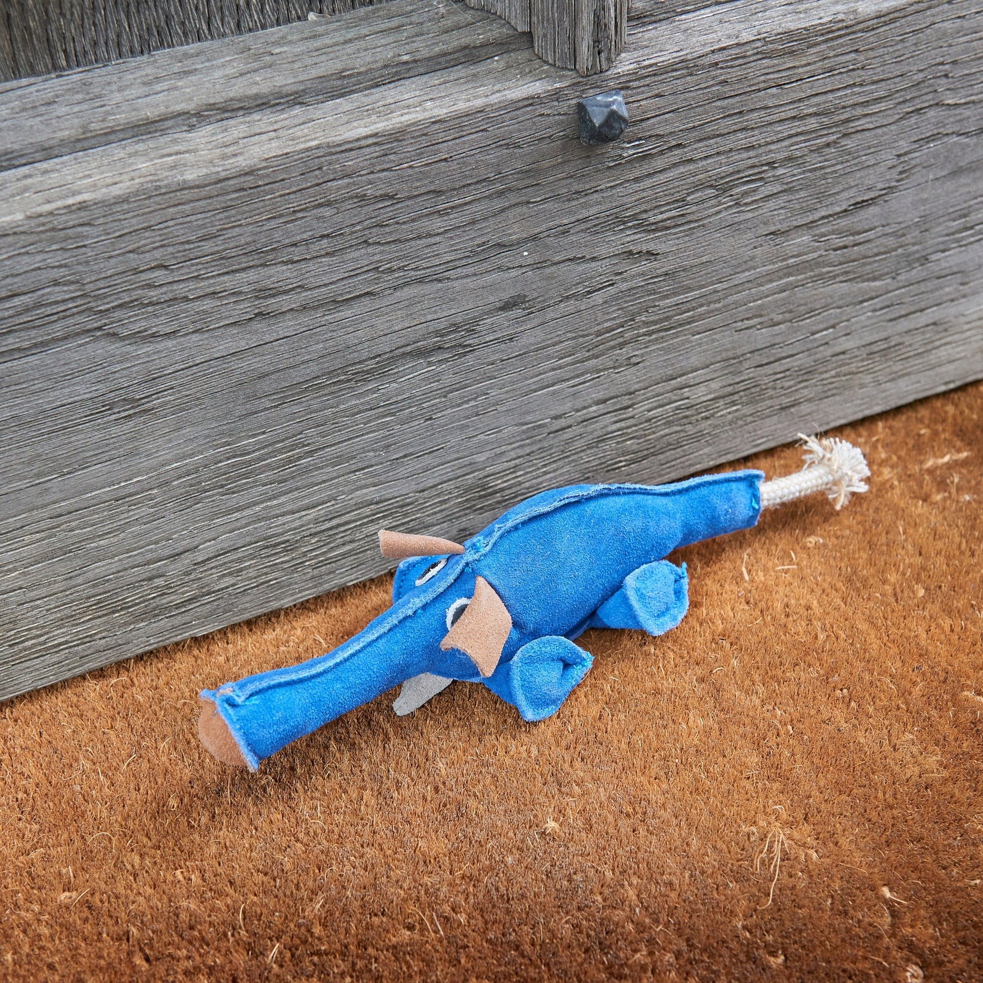 Blue dinosaur eco dog toy on a wooden floor