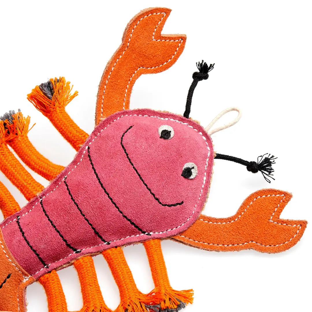 An eco dog toy resembling a lobster with a suede outer, natural stuffing, and jute rope legs.