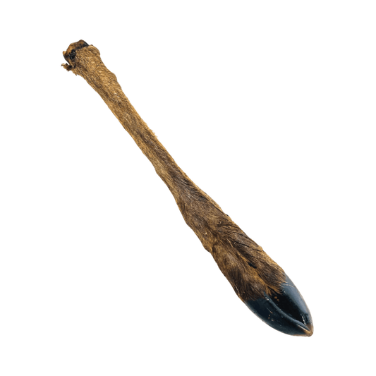 A hairy venison leg natural dog treat on an all white background.