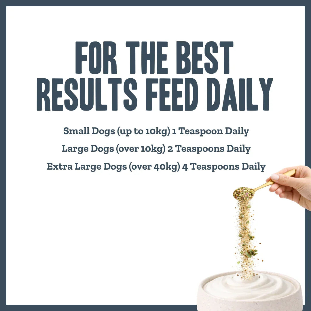 Body Boost Multivitamin For Dogs feeding guide