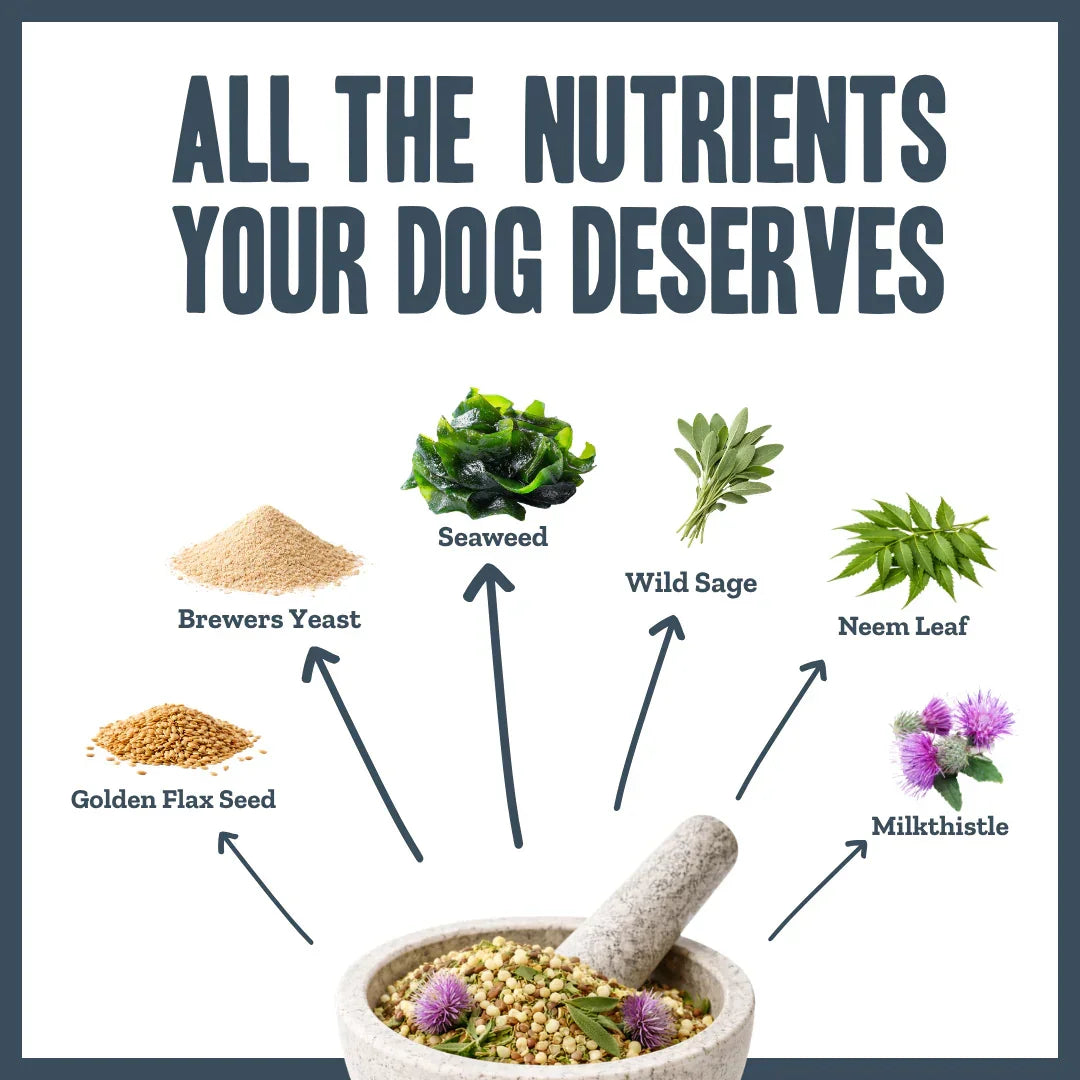 Active ingredients in Body Boost Multivitamin For Dogs