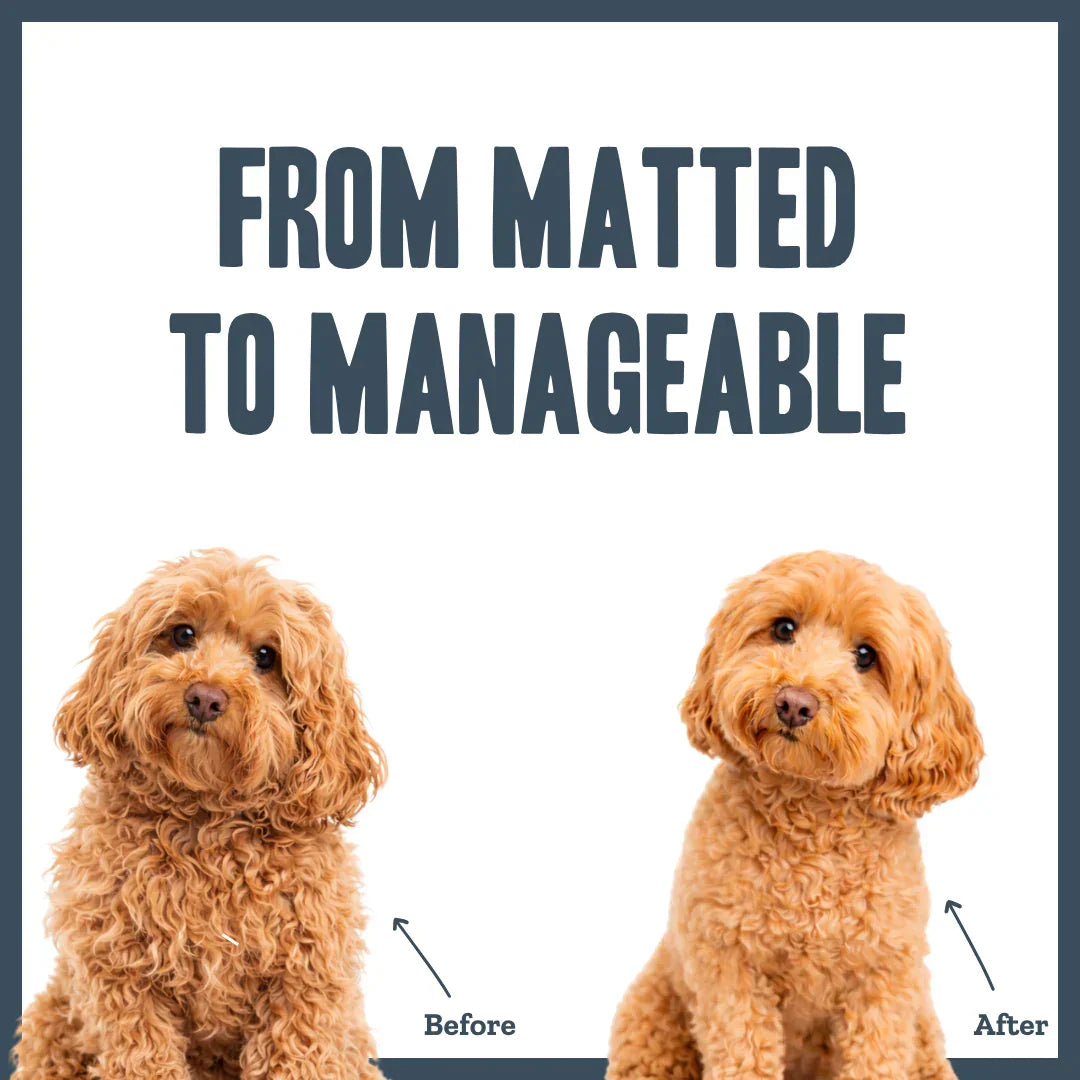 Before and after coat condition following regular brushing and detangling