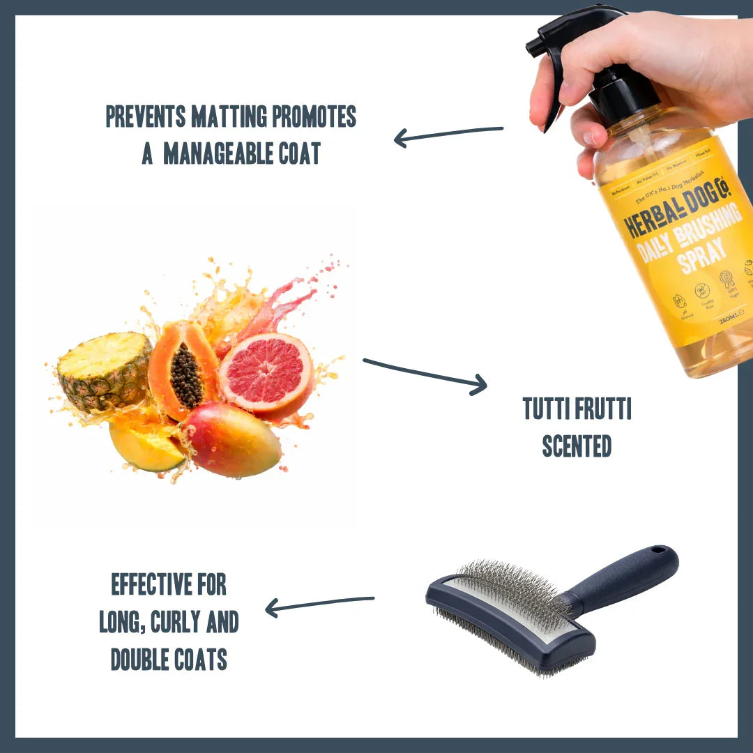 Dog brushing spray benefits for reducing knots, tangles and matting