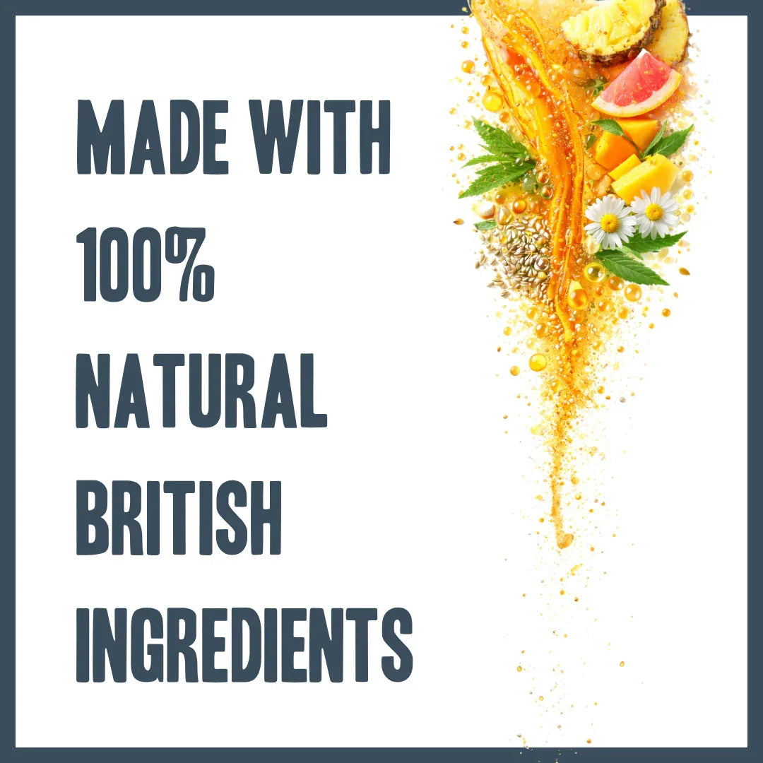 Botanical coat care ingredients used in a natural dog brushing spray