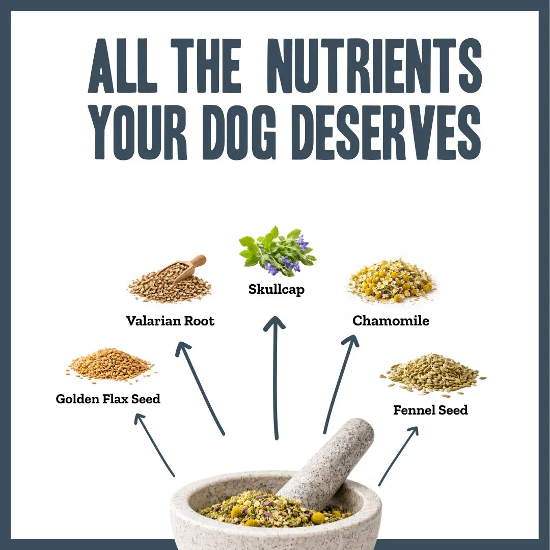 Ingredients used in Herbacalm Calming Dog Supplements including chamomile, skullcap, valerian root, fennel seed and flax seed