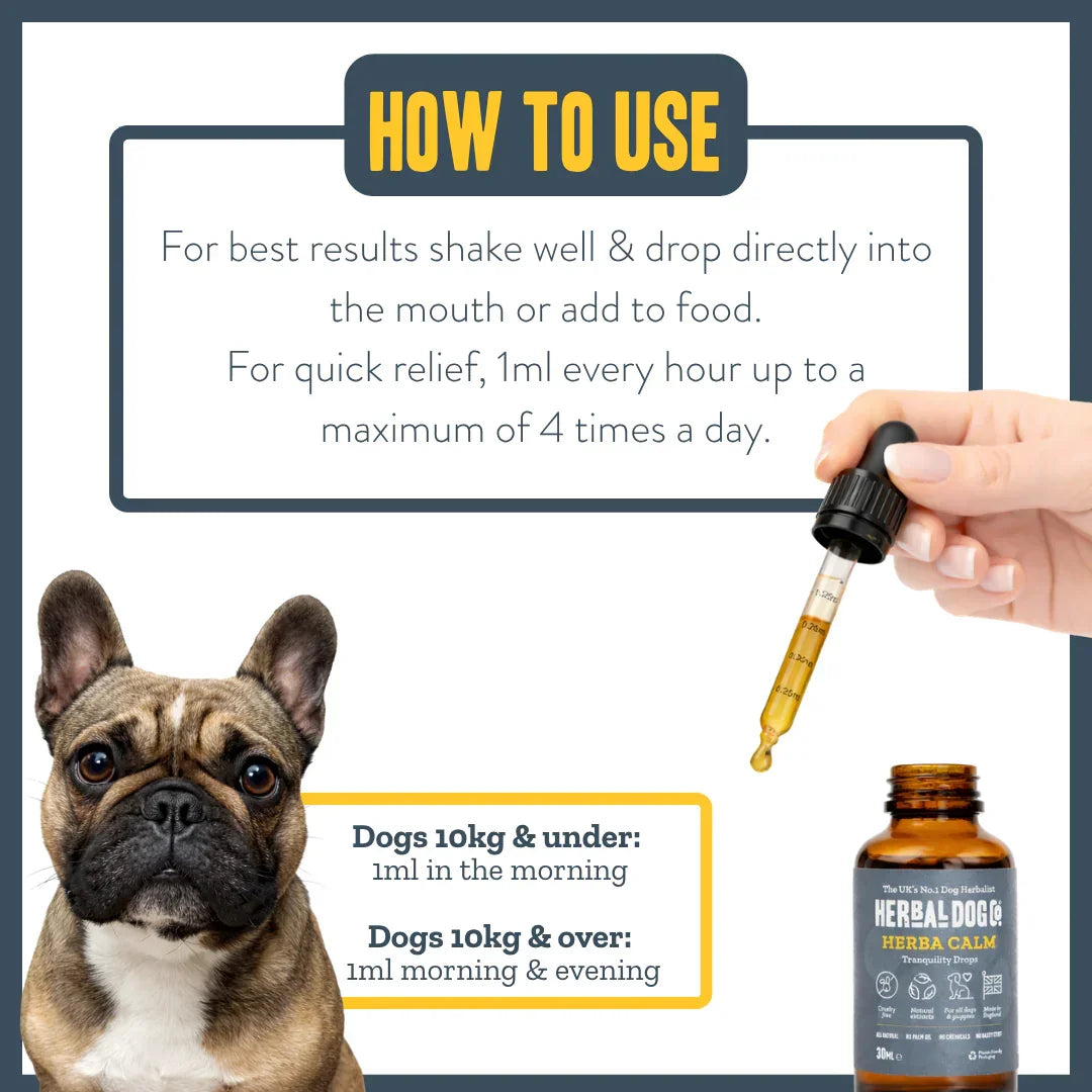 Feeding guide showing how to use Herbacalm Calming Drops for dogs
