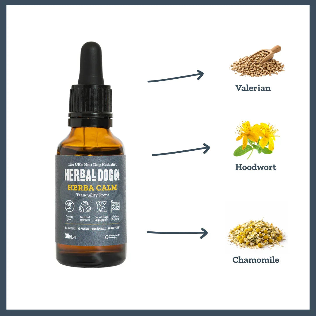 Valerian, hoodwort and chamomile ingredients used in Herbacalm Calming Drops