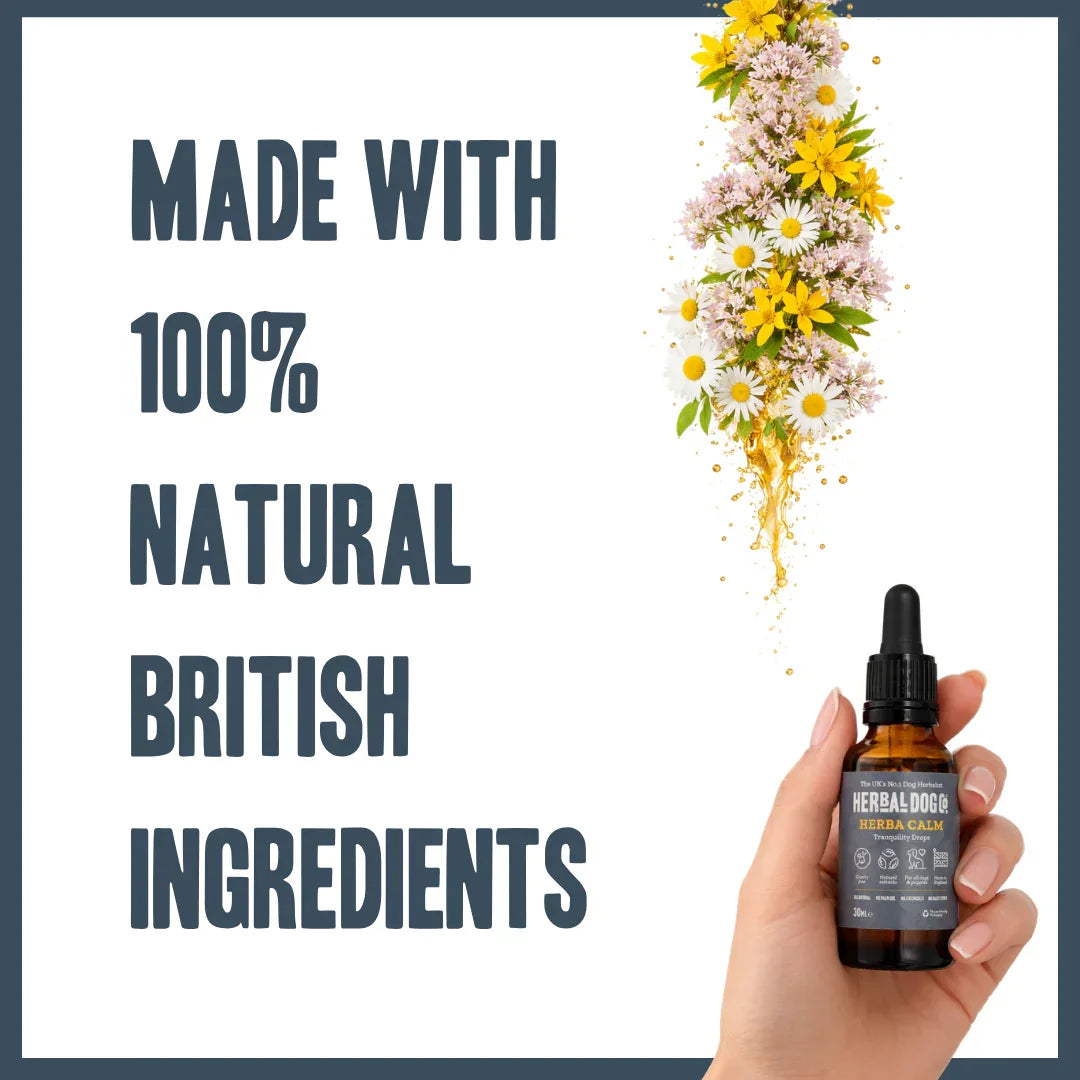Natural British ingredients used in Herbacalm Calming Drops