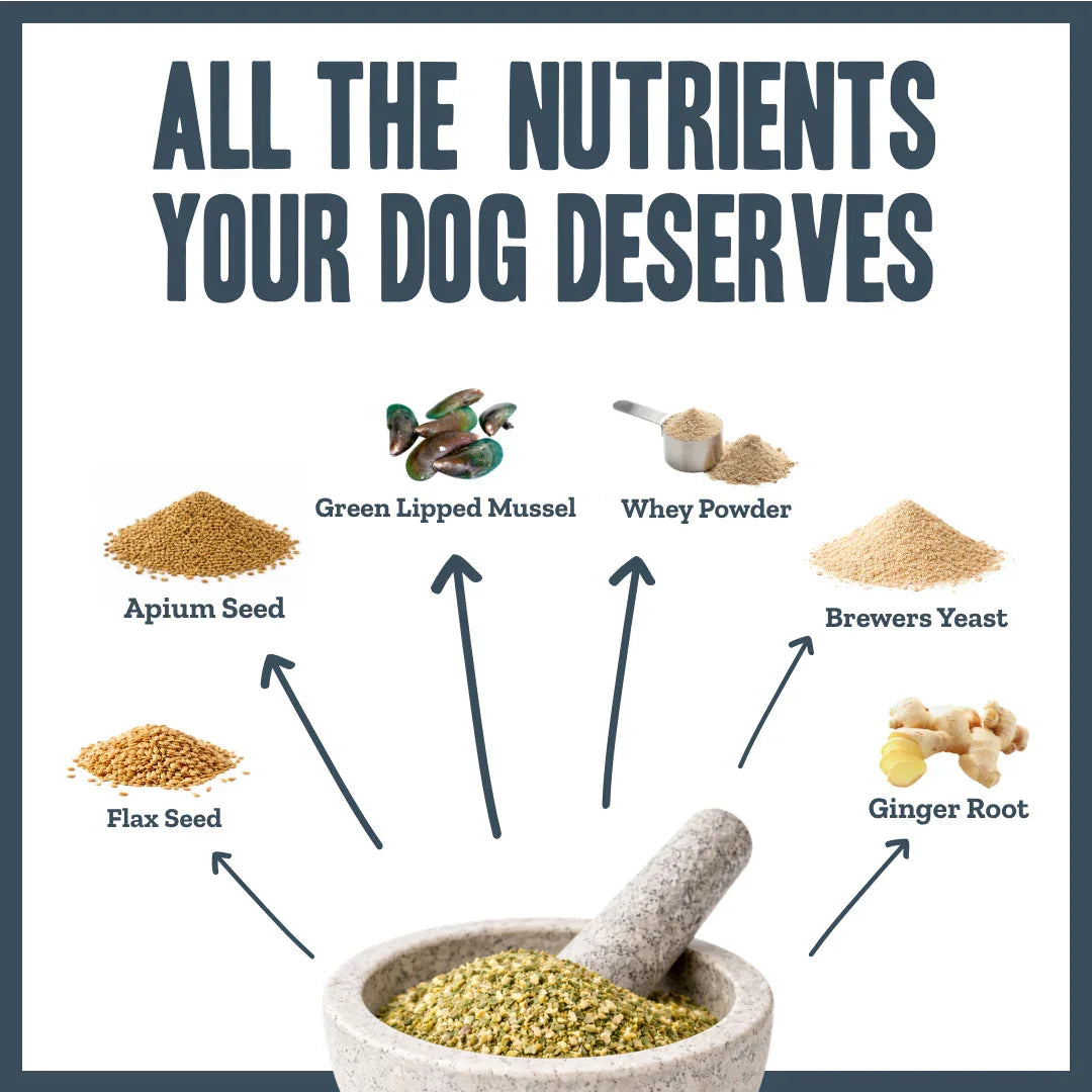 Ingredients used in Herbaflex joint supplements for dogs including Green Lipped Mussel, ginger root, flax seed and brewers yeast