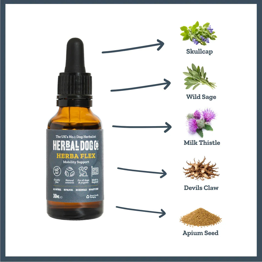 Herbaflex Joint Support Tonic active ingredients
