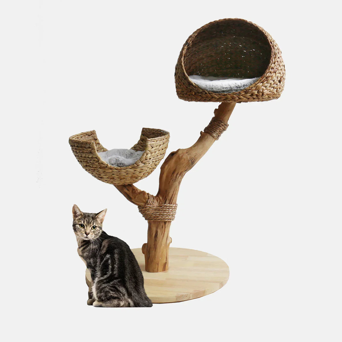 Back To Nature Duo cat tree by Lords and Labradors with two wicker basket beds on a white background