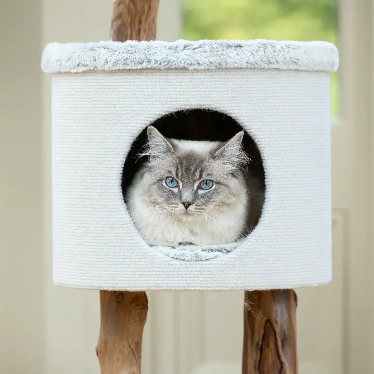 Cat inside the enclosed cave bed of the Lords & Labradors Back To Nature High Rise Cat Tree
