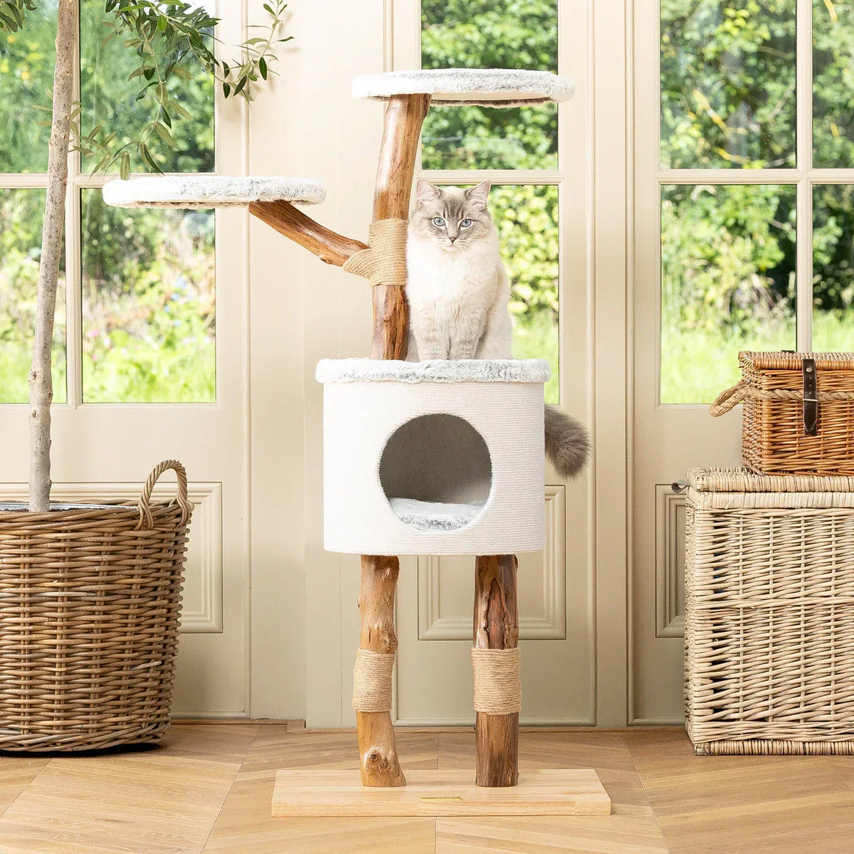 Lords & Labradors Back To Nature High Rise Cat Tree in a living room with a cat sitting on the platform