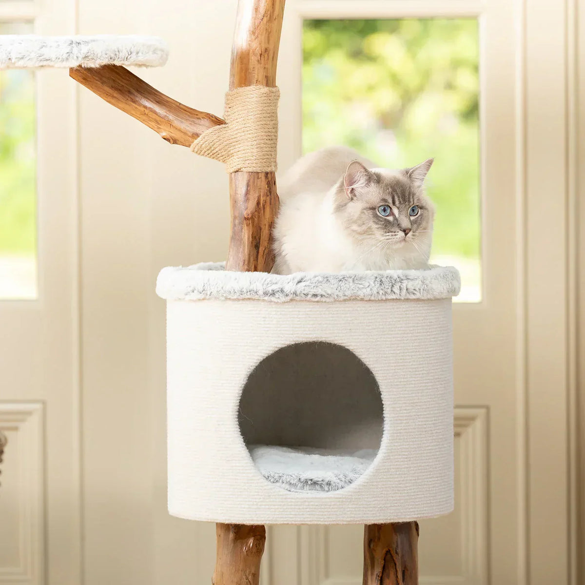 Cat resting on the enclosed bed of the Lords & Labradors Back To Nature High Rise Cat Tree by a window