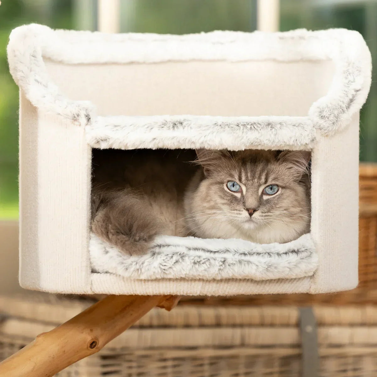 Cat resting inside the covered bed of the Back To Nature Luxe Cat Tree by Lords & Labradors