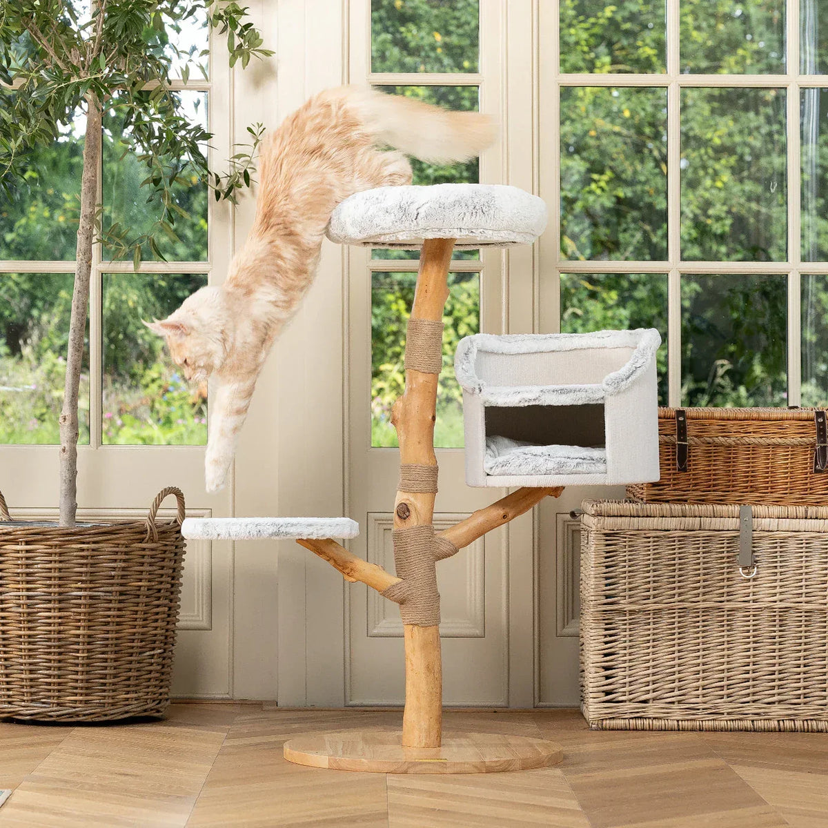 Cat jumping between platforms on the Back To Nature Luxe Cat Tree by Lords & Labradors