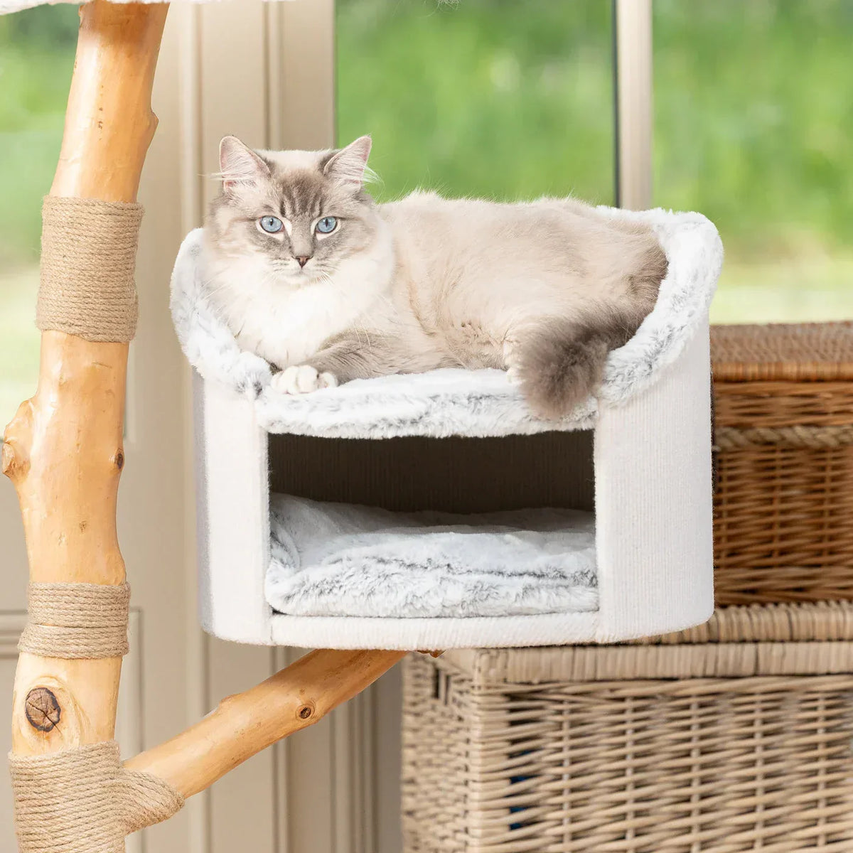 Cat lying on the cushioned platform of the Back To Nature Luxe Cat Tree by Lords & Labradors