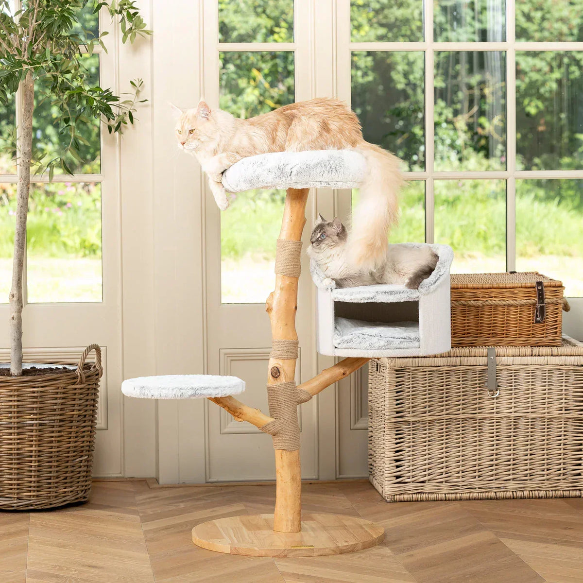 Two cats resting on the Back To Nature Luxe Cat Tree by Lords & Labradors near large windows