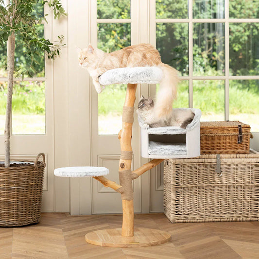 Two cats resting on the Back To Nature Luxe Cat Tree by Lords & Labradors near large windows