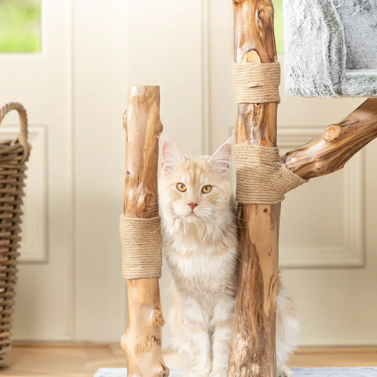 Cat sitting between natural wood scratching posts on Lords & Labradors Trio cat tree base